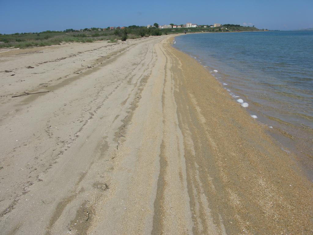 Dominique Apartma *
